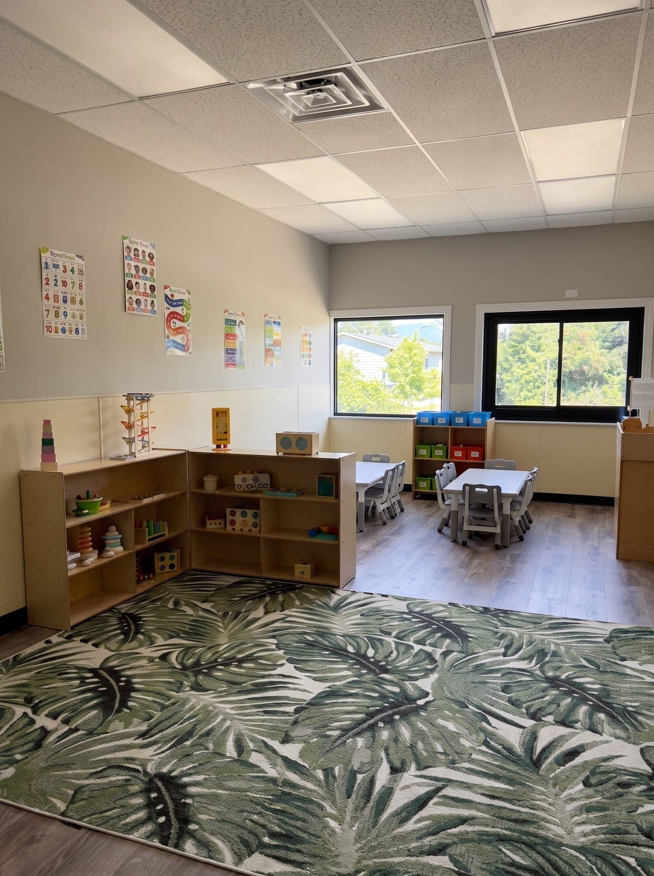 A classroom's end windows, trees beyond
