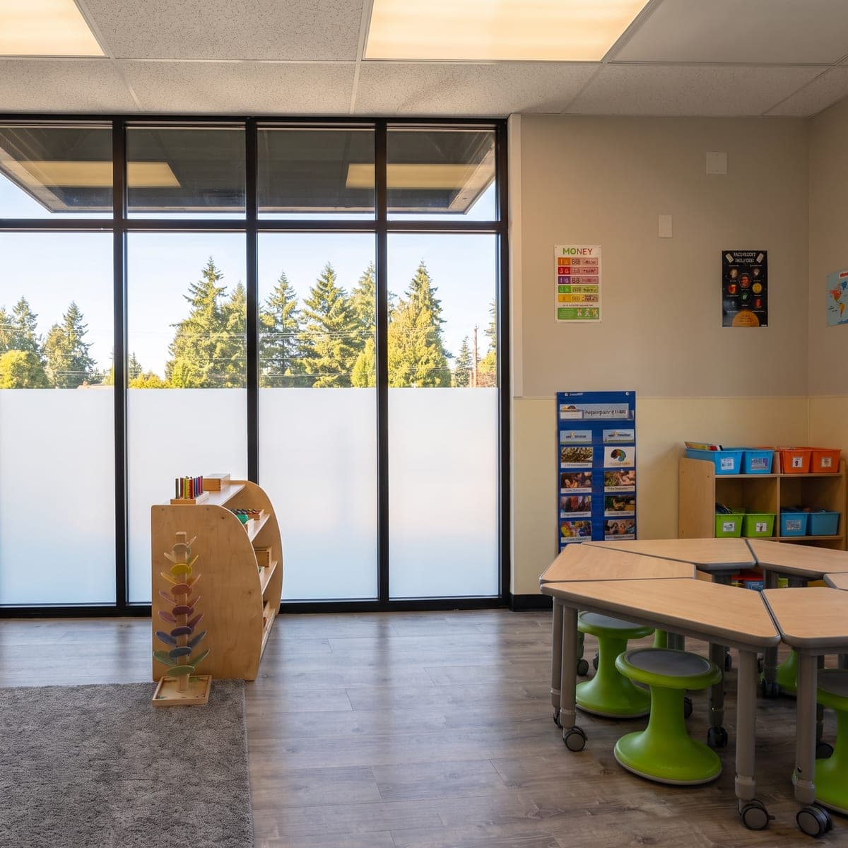Evergreens seen through a classroom's tall windows
